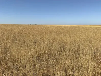 Fazenda/Sítio à venda, 1220000m² no , Sacramento