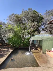 Fazenda/Sítio com 4 Quartos à venda, 8000m² no Vila Grimpas, Hidrolândia