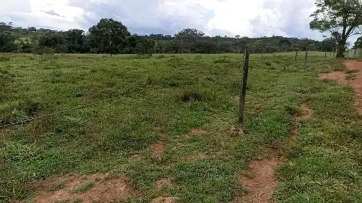 Fazenda/Sítio com 1 Quarto à venda, 1000000m² no , Petrolina de Goiás