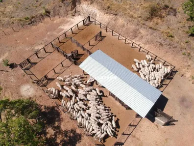 Fazenda/Sítio à venda, 1911800m² no , Lajeado