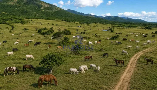Fazenda/Sítio à venda, 1000m² no , Itaju do Colônia
