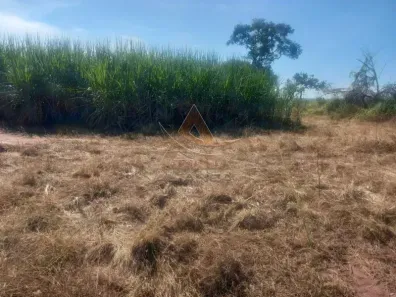 Fazenda/Sítio com 2 Quartos à venda, 242000m² no Zona Rural, Santo Antônio da Alegria