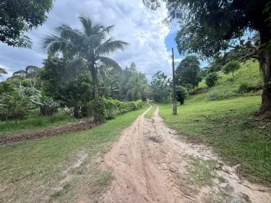 Fazenda/Sítio com 2 Quartos à venda, 20000m² no Área Rural de Cachoeiras de Macacu, Cachoeiras de Macacu
