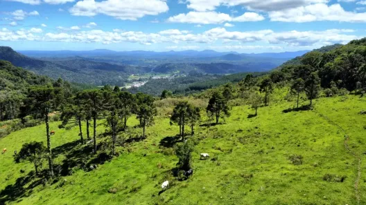 Fazenda/Sítio à venda, 79m² no , Rio Rufino