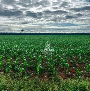 Fazenda/Sítio com 5 Quartos à venda, 23000000m² no Área Rural de Porto Velho, Porto Velho