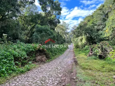 Lote/Terreno à venda, 600m² no Centro, São Francisco de Paula