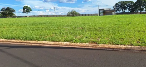 Lote/Terreno à venda, 250m² no Jardim São Camilo II, Araraquara