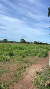 Fazenda/Sítio com 3 Quartos à venda, 13940000m² no Serrano, Paraíso do Tocantins