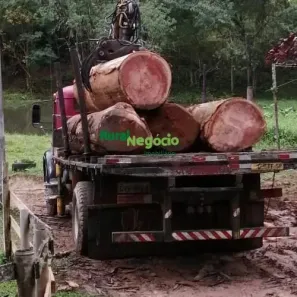 Fazenda/Sítio à venda, 1210000m² no Centro, Piquete