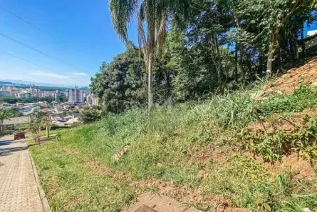 Lote/Terreno com 1 Quarto à venda, 700m² no Córrego Grande, Florianópolis