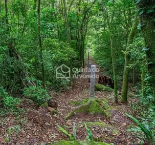 Lote/Terreno à venda, 50000m² no Centro, São Francisco de Paula