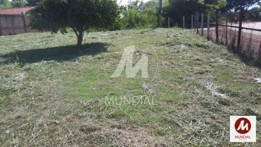 Imóvel Comercial à venda, 486m² no Antônio Marincek, Ribeirão Preto
