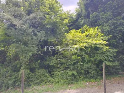 Lote/Terreno à venda, 3792m² no Panazzolo, Caxias do Sul
