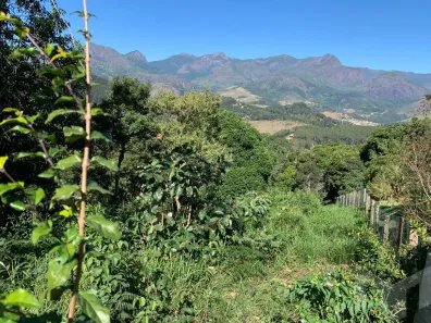 Lote/Terreno à venda, 1278m² no Itaipava, Petrópolis