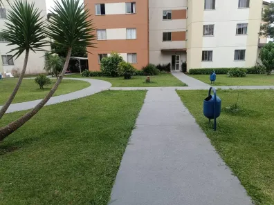Apartamento com 2 Quartos para alugar, 43m² no Iná, São José dos Pinhais
