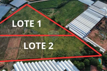 Lote/Terreno à venda, 20000m² no Área Rural de Holambra, Holambra