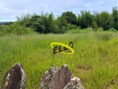 Lote/Terreno à venda, 12000m² no Jardim das Oliveiras (Caucaia do Alto), Cotia