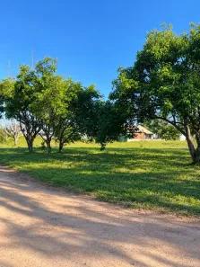 Lote/Terreno à venda, 540m² no Laguna, Laguna
