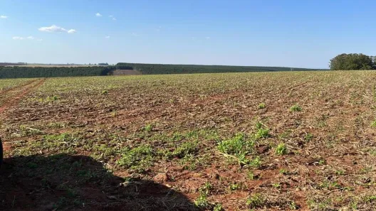 Fazenda/Sítio com 3 Quartos à venda, 80m² no Área Rural de Itapeva, Itapeva