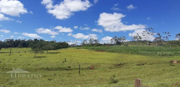 Fazenda/Sítio com 1 Quarto à venda, 20000m² no Centro, Ibiporã