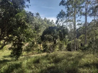 Lote/Terreno à venda, 100000m² no , Santa Branca