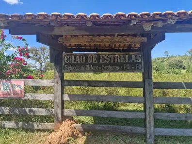 Fazenda/Sítio com 6 Quartos à venda, 4598000m² no Conjunto Sandra Vilela, Itapuranga