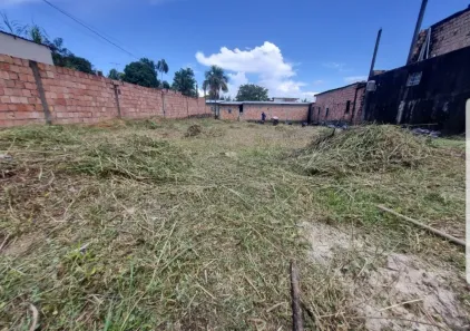 Lote/Terreno à venda, 440m² no Novo Aleixo, Manaus