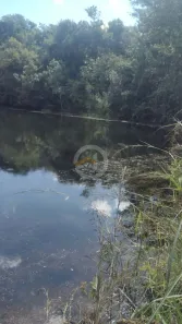 Fazenda/Sítio com 1 Quarto à venda, 490000m² no Centro, Silvânia