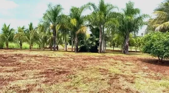 Fazenda/Sítio à venda, 1000m² no , Santa Inês