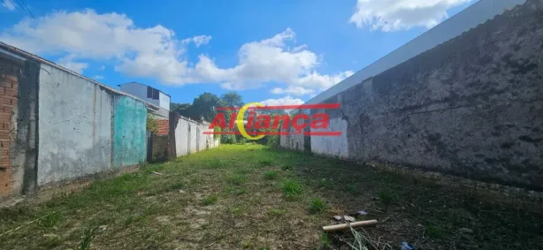 Galpão/Depósito/Armazém à venda, 750m² no Vila Galvão, Guarulhos