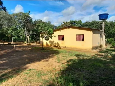 Fazenda/Sítio com 3 Quartos à venda, 160m² no , Leopoldo de Bulhões