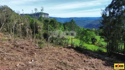 Fazenda/Sítio com 1 Quarto à venda, 5000m² no Dos Boêmios, Nova Petrópolis