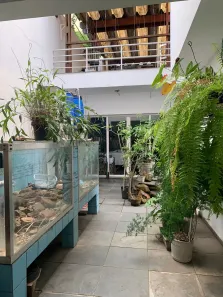 Casa com 6 Quartos para alugar, 412m² no Cambuci, São Paulo