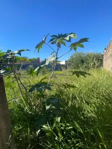 Lote/Terreno à venda, 447m² no Jardim Santa Genebra II (Barão Geraldo), Campinas