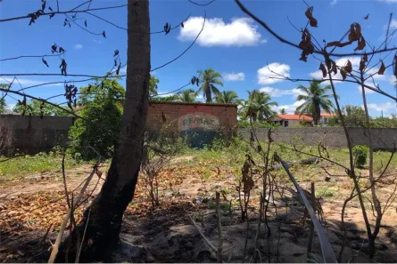 Lote/Terreno à venda, 250m² no , Tamandaré