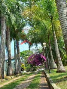 Fazenda/Sítio com 7 Quartos à venda, 600m² no Recanto dos Palmares, Atibaia