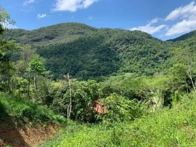Lote/Terreno à venda, 3990m² no Pedro do Rio, Petrópolis