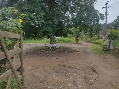 Fazenda/Sítio à venda, 165000m² no , Rio Tinto