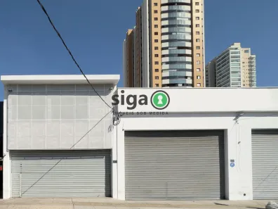 Prédio Comercial para alugar, 1024m² no Vila Gomes Cardim, São Paulo