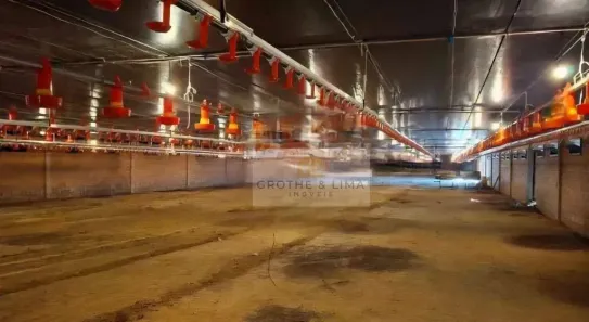 Fazenda/Sítio com 4 Quartos à venda, 5400m² no , Tietê