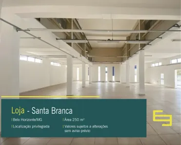 Ponto Comercial para alugar, 250m² no Santa Branca, Belo Horizonte