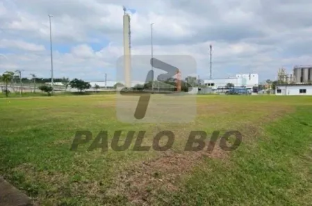 Lote/Terreno para alugar, 1m² no Vila Santa Cecília, Mauá