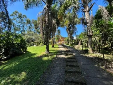 Fazenda/Sítio com 5 Quartos à venda, 12000m² no Jardim Pinheiros, Quatro Barras