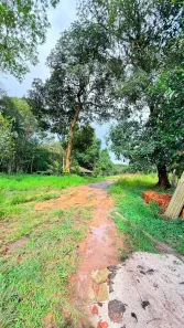 Lote/Terreno à venda, 20000m² no Centro, Benevides