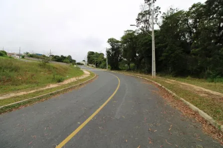 Lote/Terreno à venda, 3630m² no Campina da Barra, Araucária