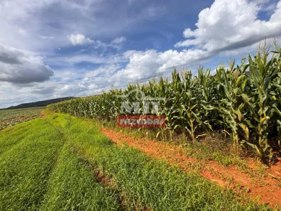 Fazenda/Sítio à venda, 500m² no , Corumbá de Goiás