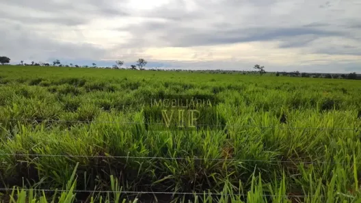 Fazenda/Sítio com 1 Quarto à venda, 31600000m² no , Coxim