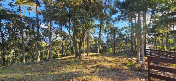 Lote/Terreno à venda, 65000m² no , Urubici