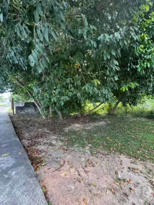 Lote/Terreno à venda, 550m² no Ponta Negra, Manaus