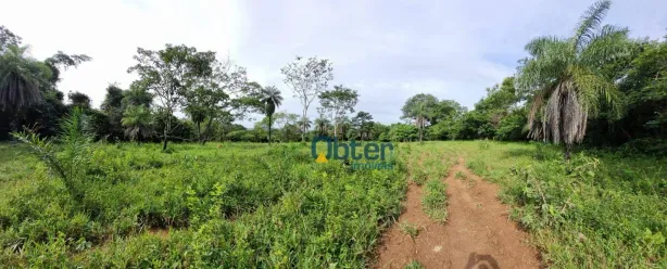 Fazenda/Sítio à venda, 145200m² no Parque das Camélias, Goianira